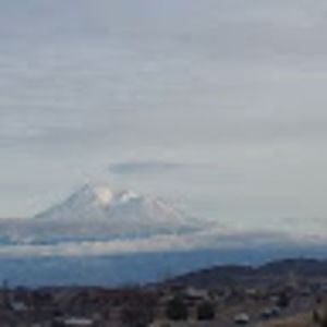 Meet your Posher, Summer